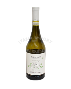 Carminucci-Belato-Pecorino-DOCG-webshop-italia-import