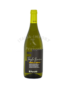 Forchir-Ribolla-Gialla-2021-webshop-Italia-Import