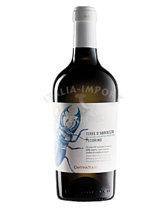 Cantina-Tollo-Terre-d-Abruzzo-Pecorino-IGP-nachhaltiger-Anbau-webshop-italia-import
